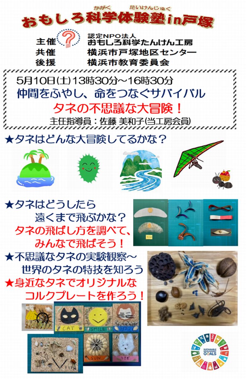 ★タネはどんな大冒険してるかな？
★タネはどうしたら遠くまで飛ぶかな？
タネの飛ばし方を調べて、みんなで飛ばそう！
★不思議なタネの実験観察～
世界のタネの特技を知ろう
★身近なタネでオリジナルなコルクプレートを作ろう！