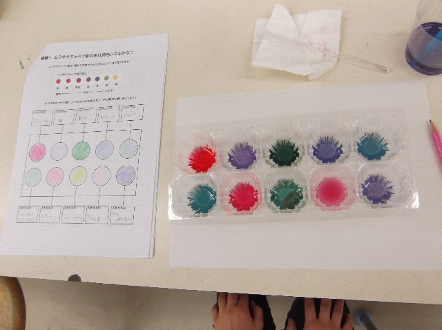 酸性・アルカリ性実験